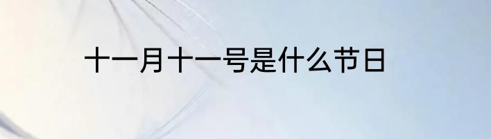 十一月十一号是什么节日