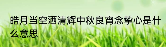 皓月当空洒清辉中秋良宵念挚心是什么意思