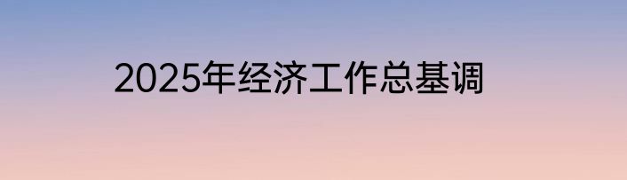 2025年经济工作总基调