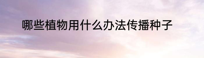 哪些植物用什么办法传播种子
