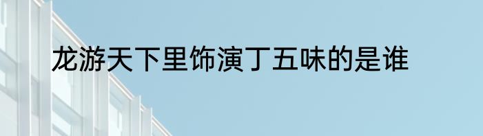 龙游天下里饰演丁五味的是谁