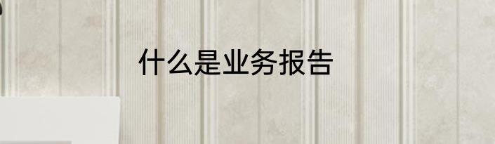 什么是业务报告