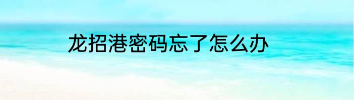 龙招港密码忘了怎么办