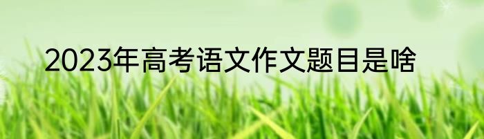 2023年高考语文作文题目是啥