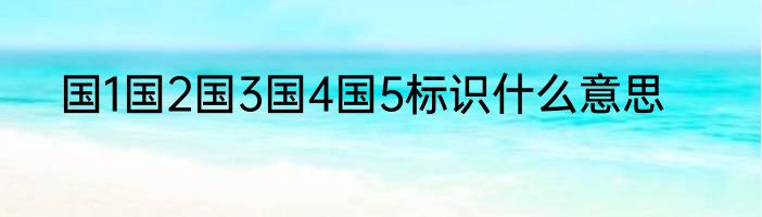 国1国2国3国4国5标识什么意思