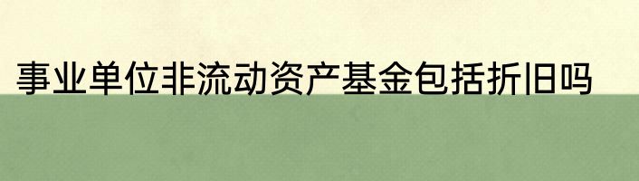 事业单位非流动资产基金包括折旧吗