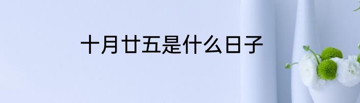 十月廿五是什么日子