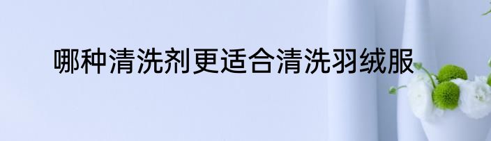 哪种清洗剂更适合清洗羽绒服
