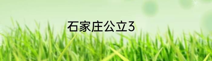 石家庄公立3
