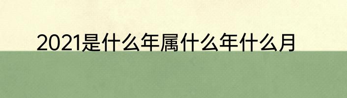 2021是什么年属什么年什么月