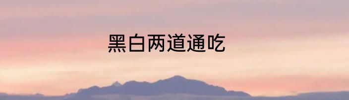 黑白两道通吃