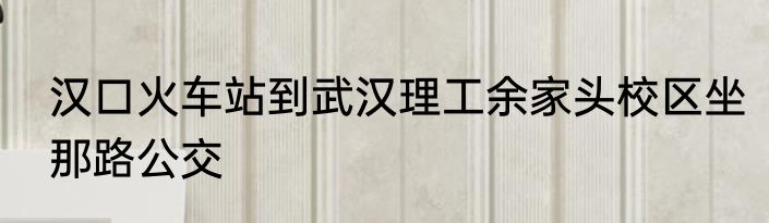 汉口火车站到武汉理工余家头校区坐那路公交