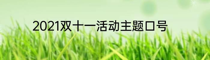 2021双十一活动主题口号