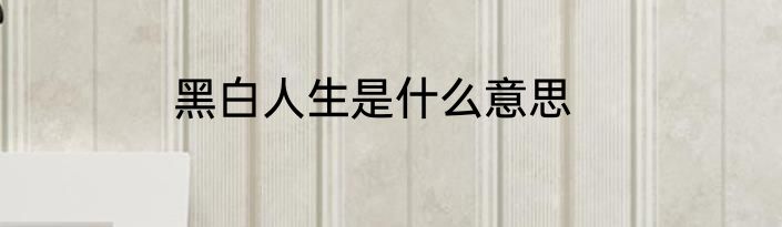 黑白人生是什么意思
