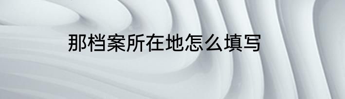 那档案所在地怎么填写