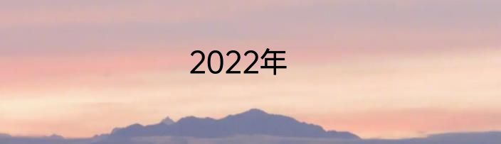 2022年