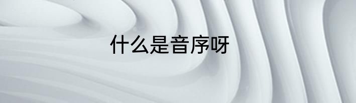什么是音序呀