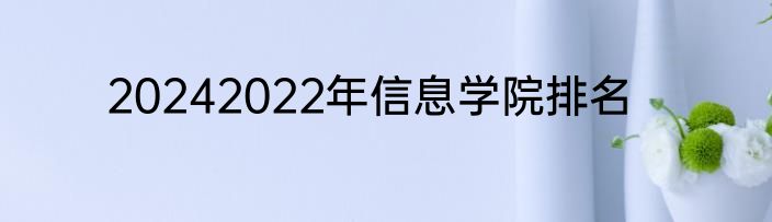 20242022年信息学院排名