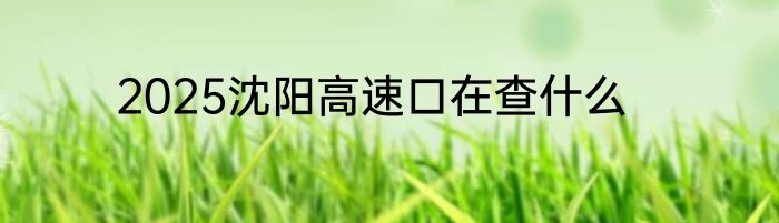 2025沈阳高速口在查什么