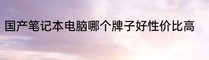 国产笔记本电脑哪个牌子好性价比高