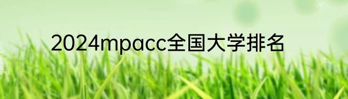 2024mpacc全国大学排名