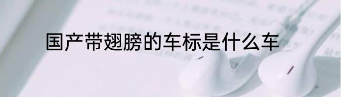 国产带翅膀的车标是什么车