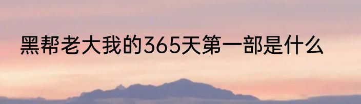 黑帮老大我的365天第一部是什么