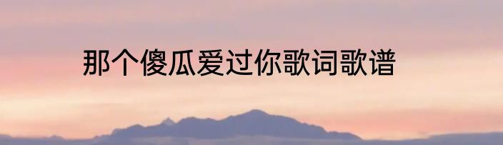 那个傻瓜爱过你歌词歌谱