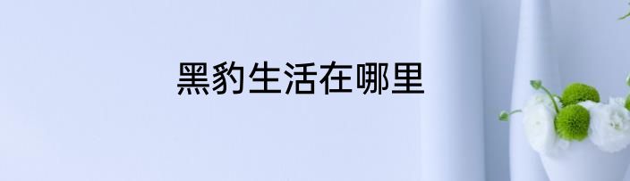 黑豹生活在哪里