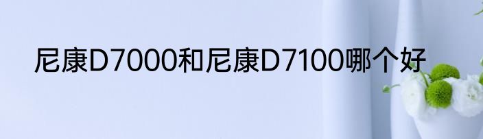 尼康D7000和尼康D7100哪个好