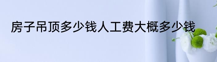 房子吊顶多少钱人工费大概多少钱