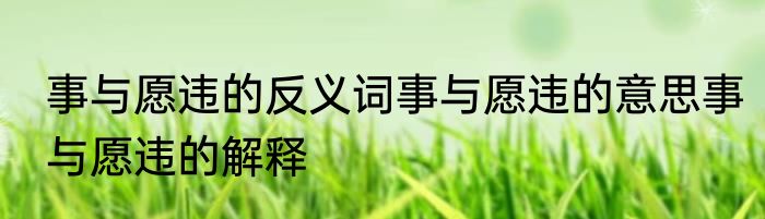 事与愿违的反义词事与愿违的意思事与愿违的解释