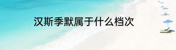 汉斯季默属于什么档次