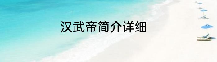 汉武帝简介详细