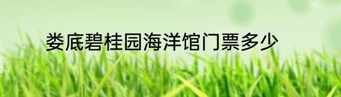 娄底碧桂园海洋馆门票多少