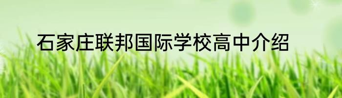 石家庄联邦国际学校高中介绍