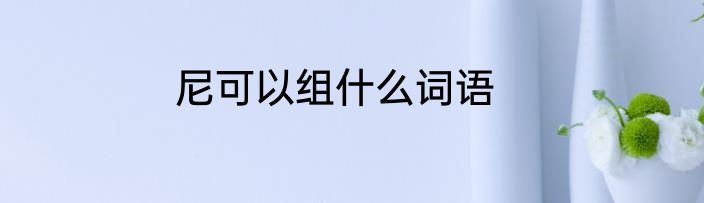 尼可以组什么词语