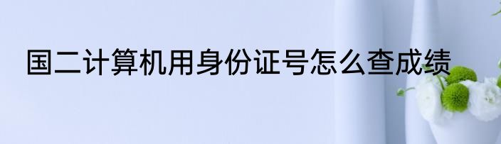 国二计算机用身份证号怎么查成绩