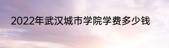 2022年武汉城市学院学费多少钱