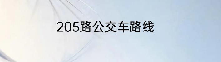 205路公交车路线