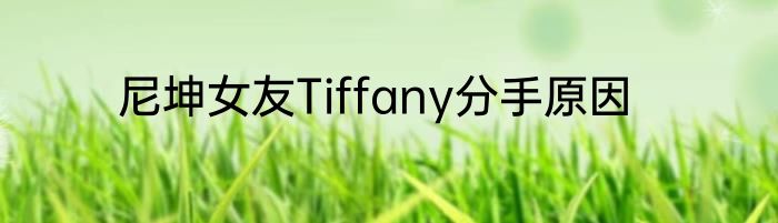 尼坤女友Tiffany分手原因