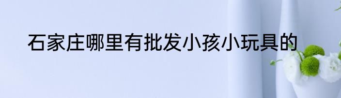 石家庄哪里有批发小孩小玩具的