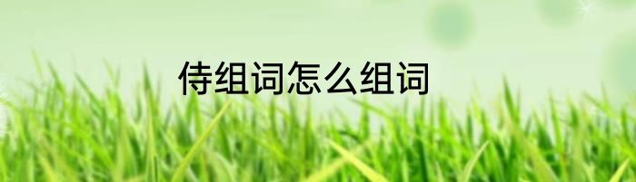 侍组词怎么组词