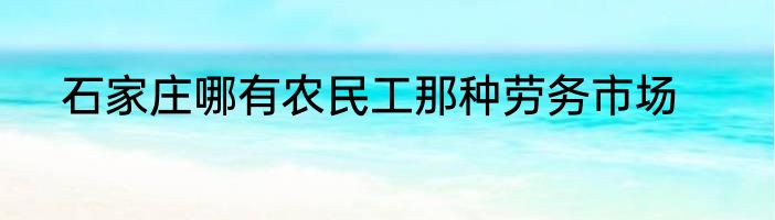 石家庄哪有农民工那种劳务市场