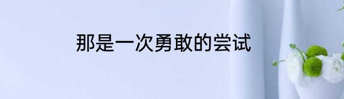 那是一次勇敢的尝试