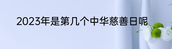 2023年是第几个中华慈善日呢