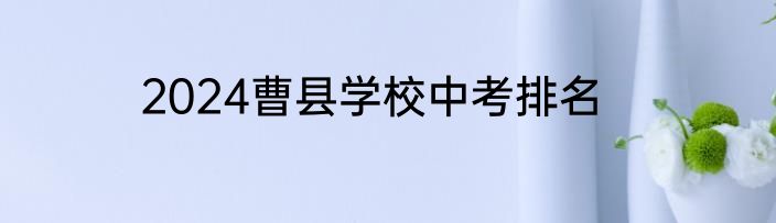2024曹县学校中考排名