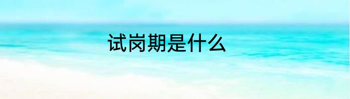 试岗期是什么