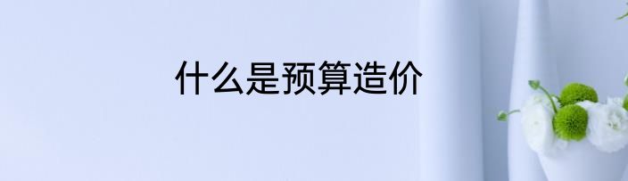 什么是预算造价