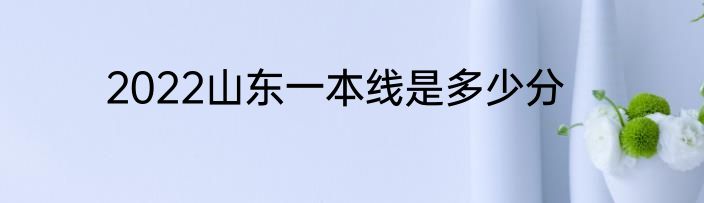 2022山东一本线是多少分